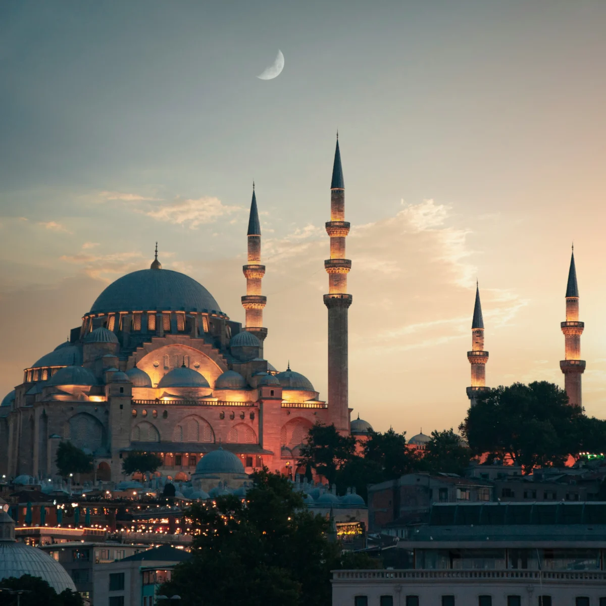 ahmed-mulla-Mo-1xmPBS3w-unsplash